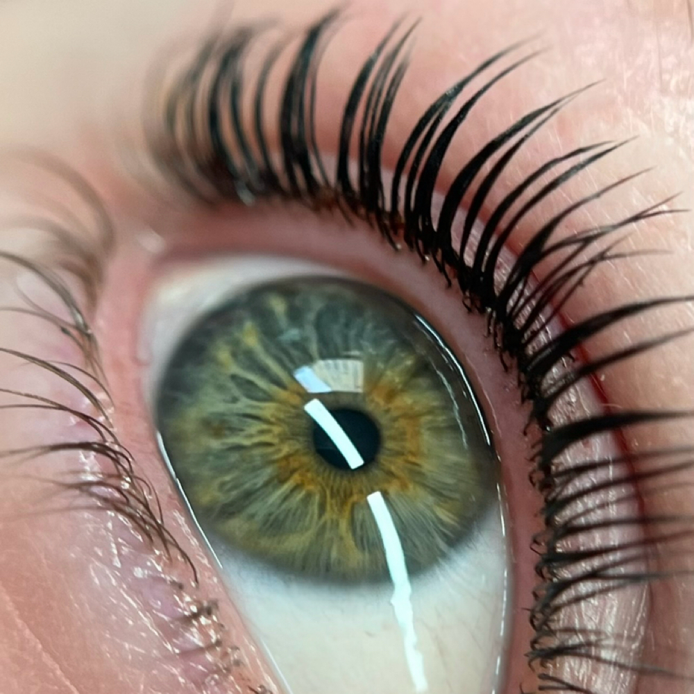 Korean Lash Lift & Tint at Lashed By Jill LLC in Chicago, IL