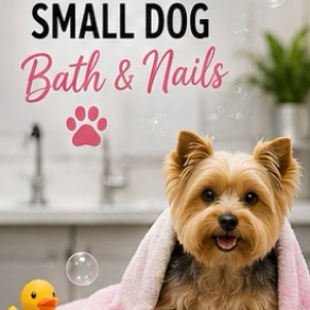 Small Dog Bath & Nails at Pampered Pups By Helen in Chino Hills, CA