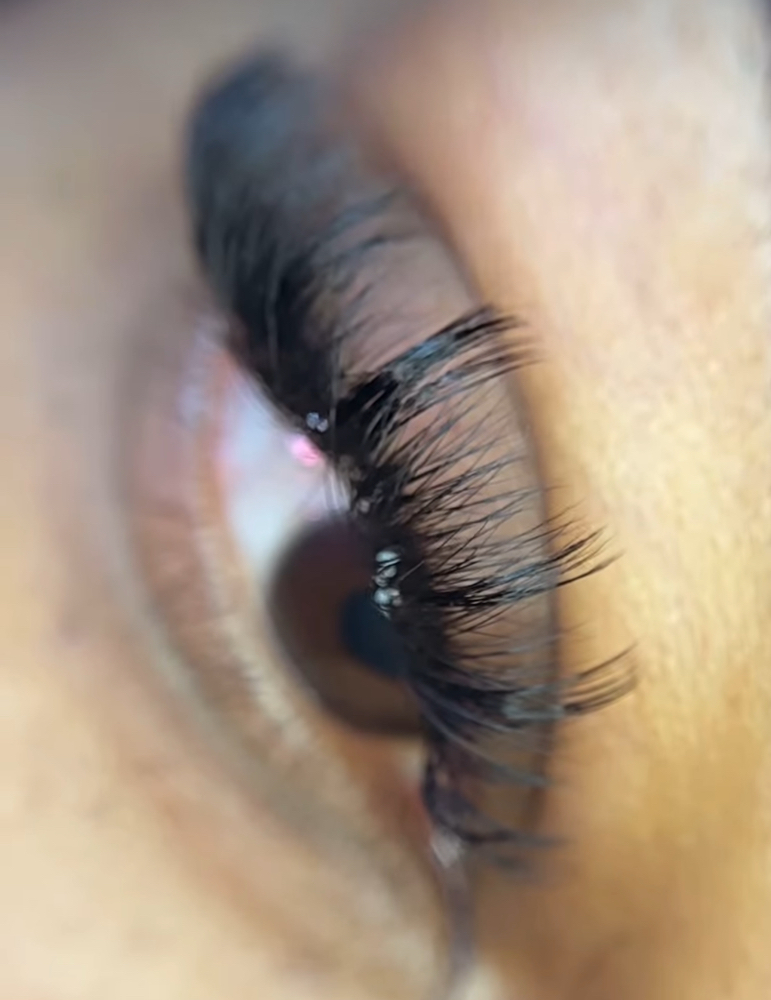 Strip Lash Style