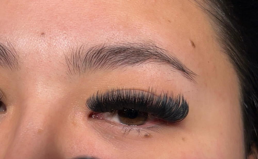 Lash Extensions - Volume at Vanessa VanGogh Lashes in Clovis, NM