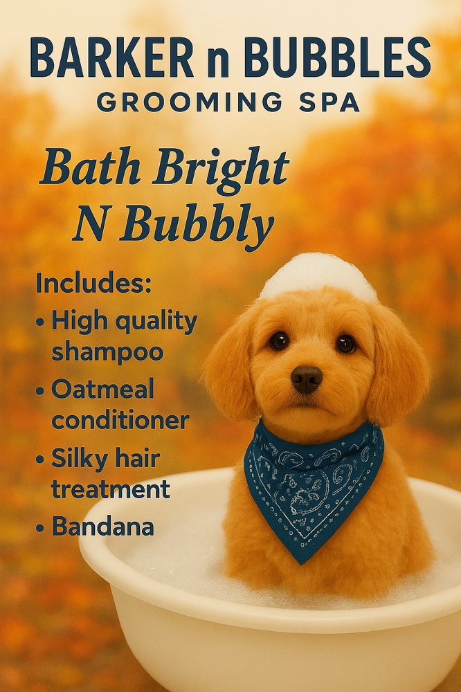 Bath Bright N Bubbly Small