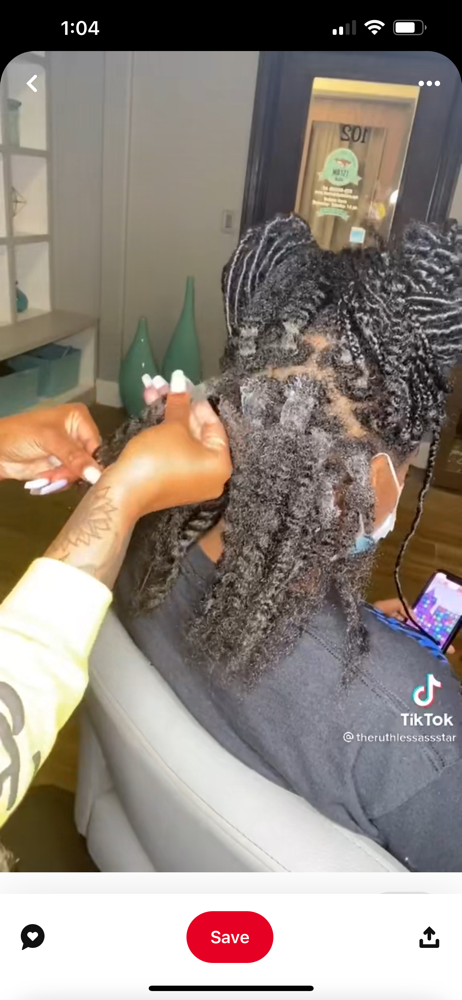 Braid Take Downs