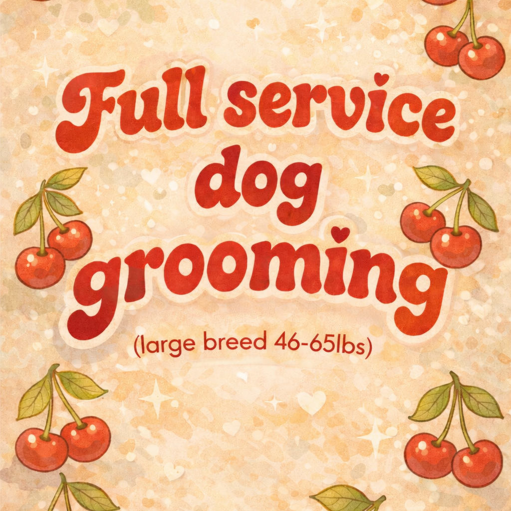 Full groom (large breed 46-65lbs) at Cherry Bow Dog Grooming in Alvarado, TX