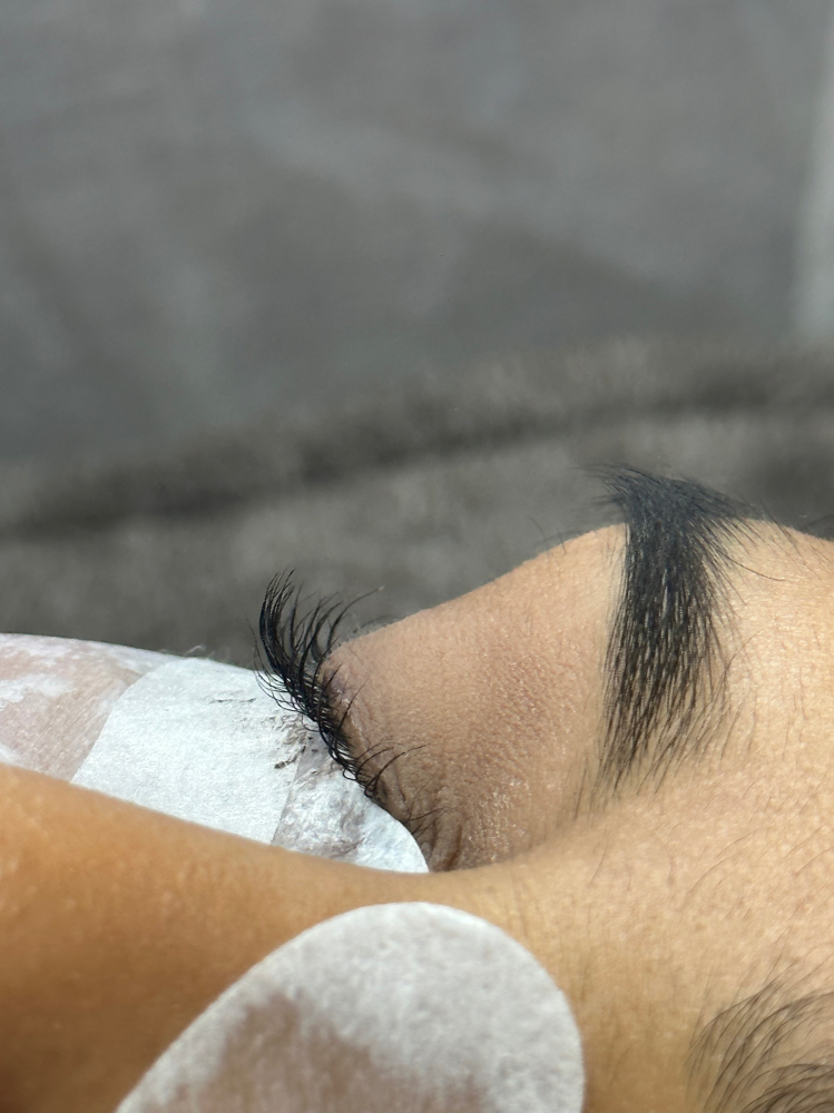 lash lift