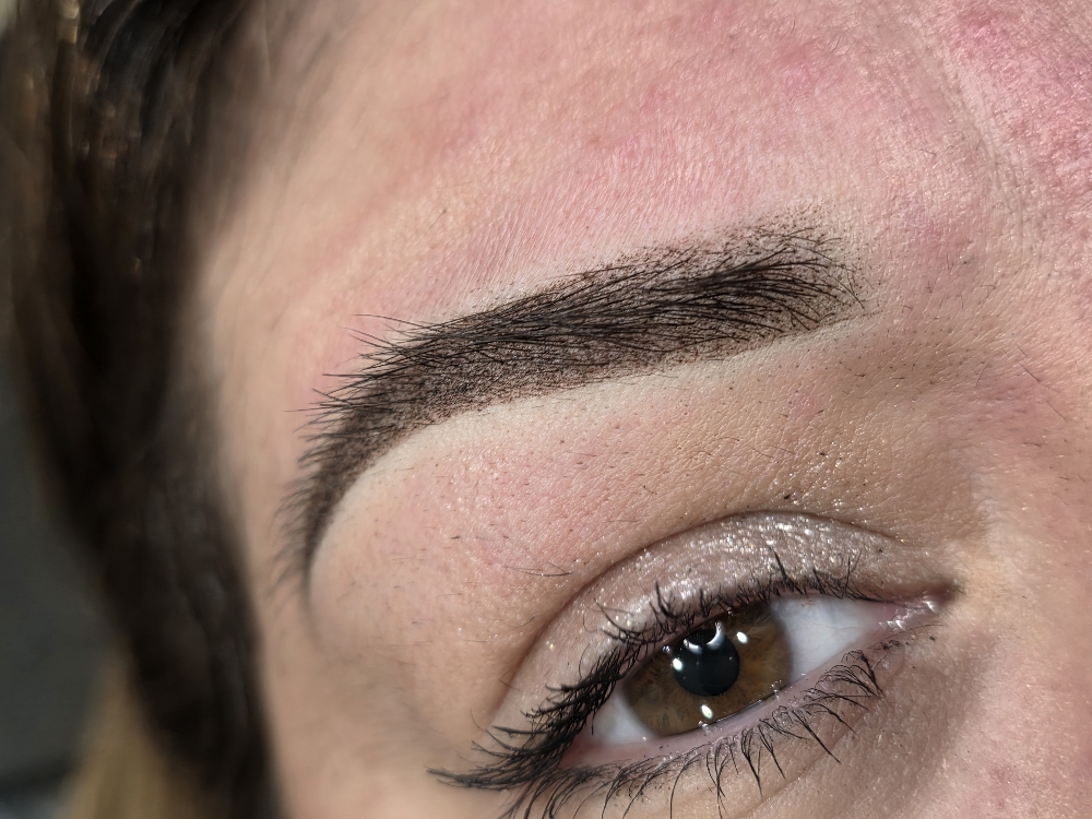 4 Week Touch-up (PMU Brows)