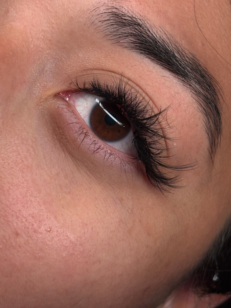 Regular Lash Maintenance
