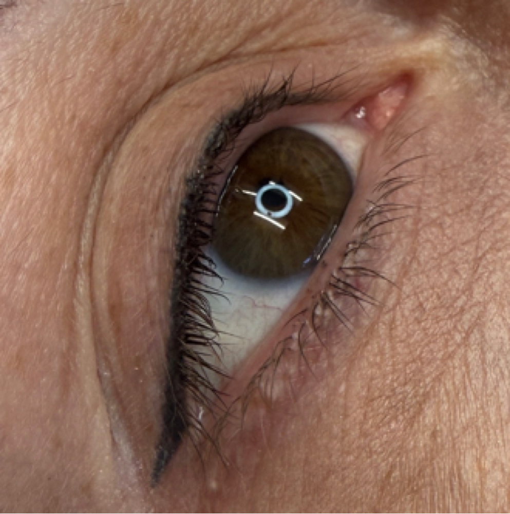 PMU Brow + Lash Line Enhacment at thejaxwaxbabes in Jacksonville, FL