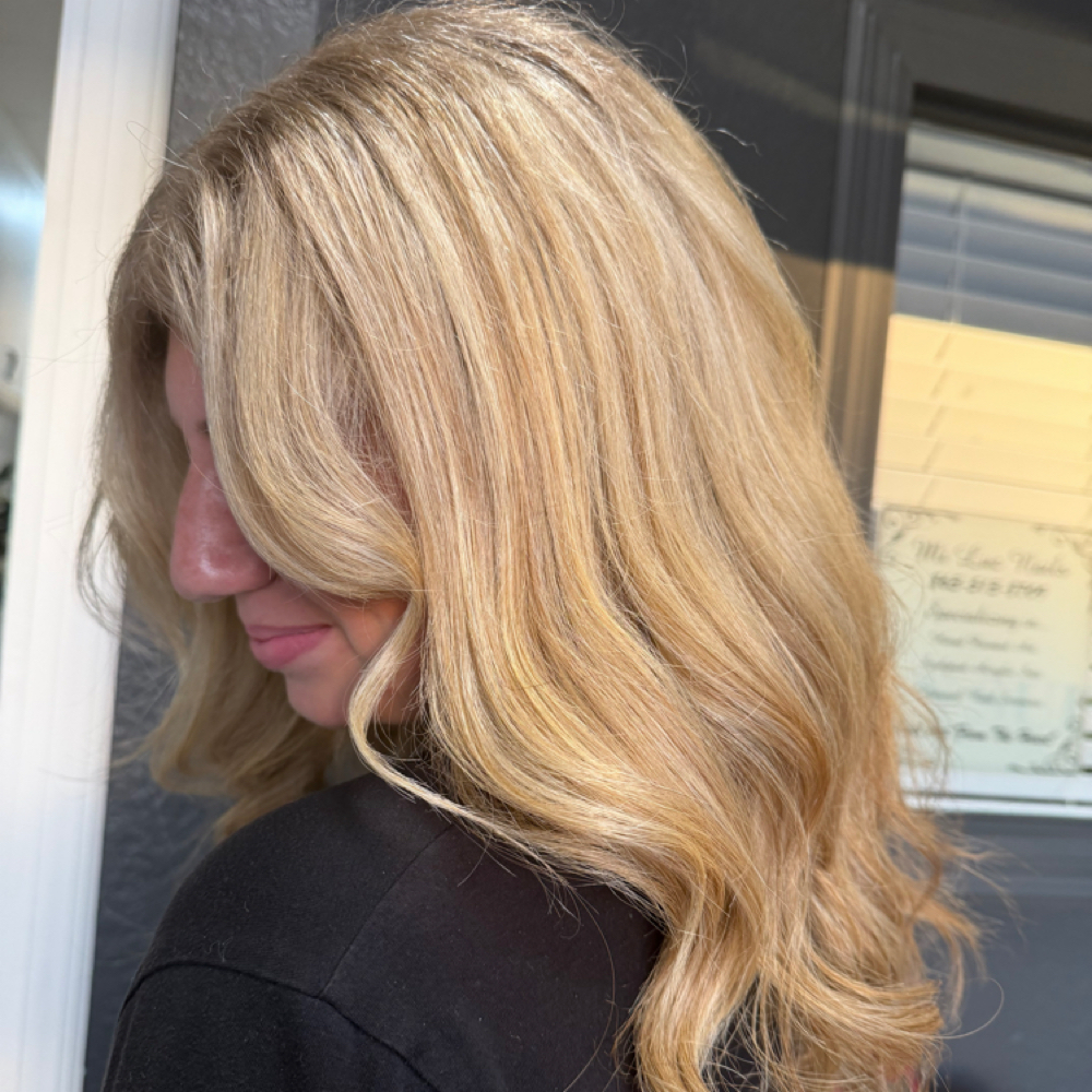 Double Full Highlight at Dark Mane Studio LLC in Plant City, FL