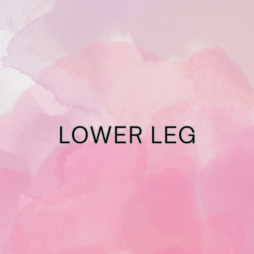 Lower Leg