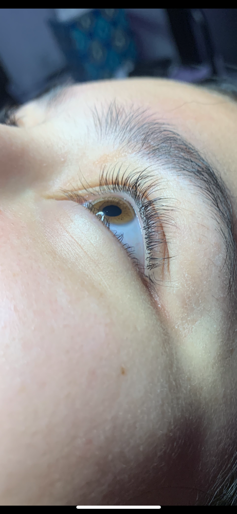 Lash Lift