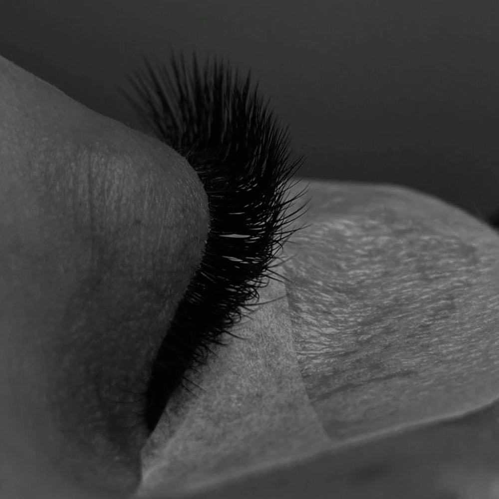 Volume Lashes