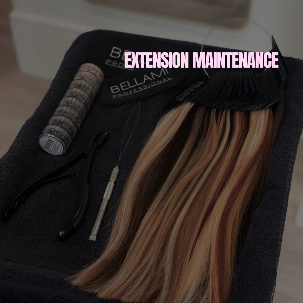 EXTENSION MAINTENANCE