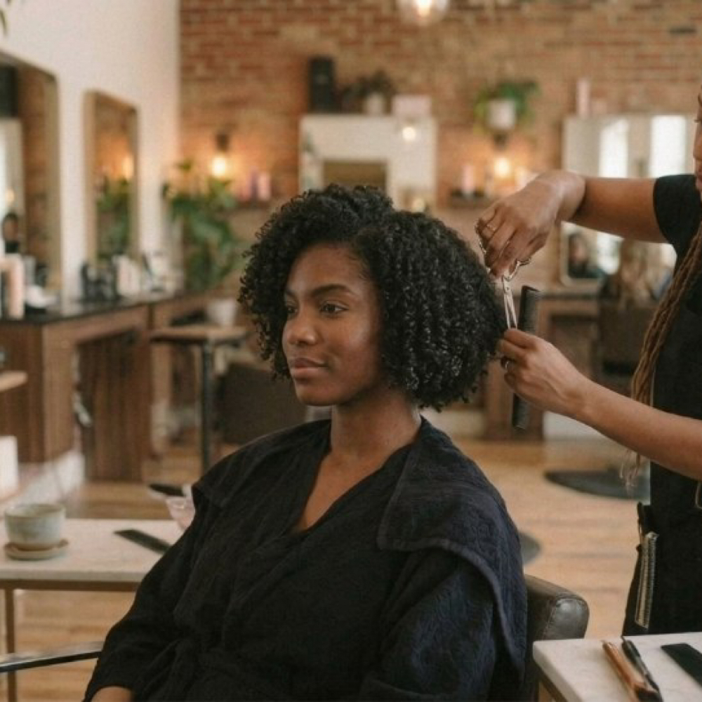 Twist  Maintenance at Hair by Elham in Homewood, IL