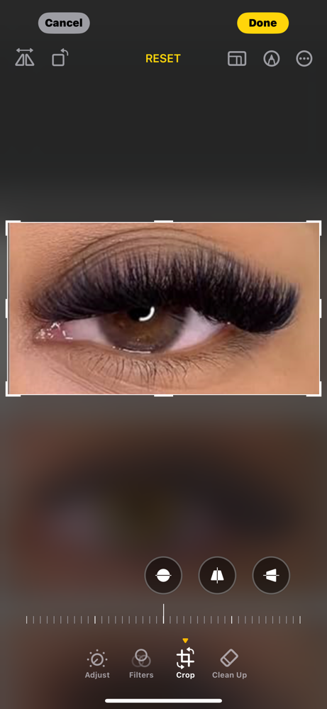 Mega Volume Set at G&J Nail Beauty Spa/ JJ Lashes in Utica, NY