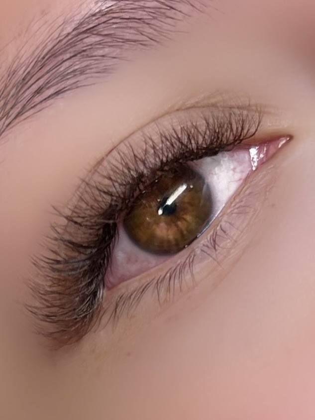 Brown Hybrid Full Set