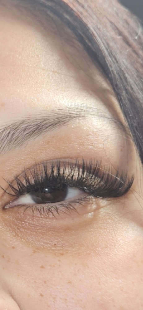 Wispy Volume Eyelash Extensions