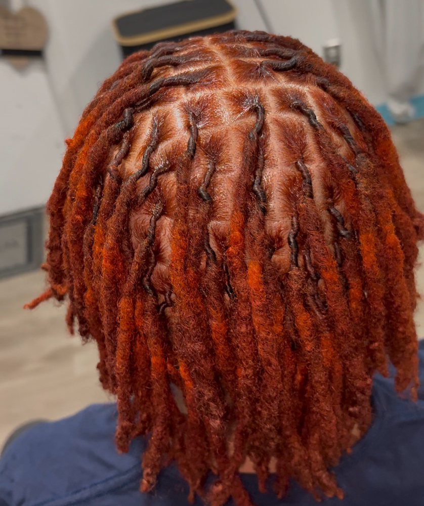 Loc Color Package at The Curl Dealer in Southfield, MI