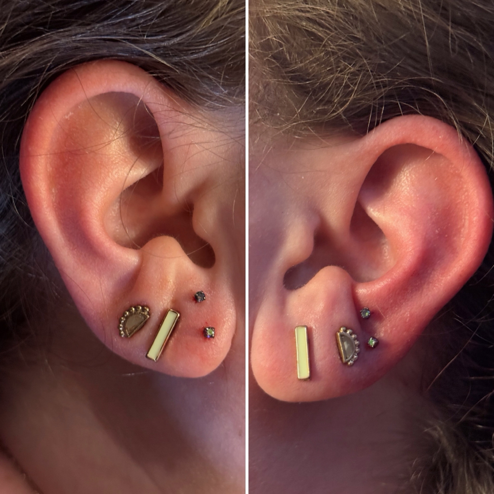 Ear Lobe (Paired)