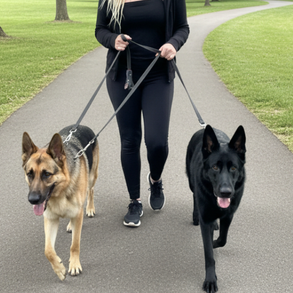 Dog Walking at Theresa M. Holtz in Litchfield, MN