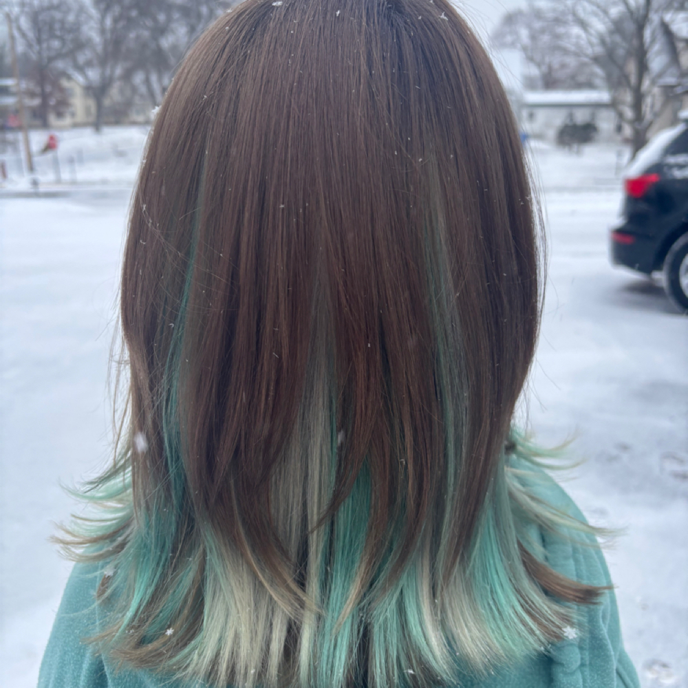 Partial Vivid Color at Wynter Willow Salon in Baraboo, WI