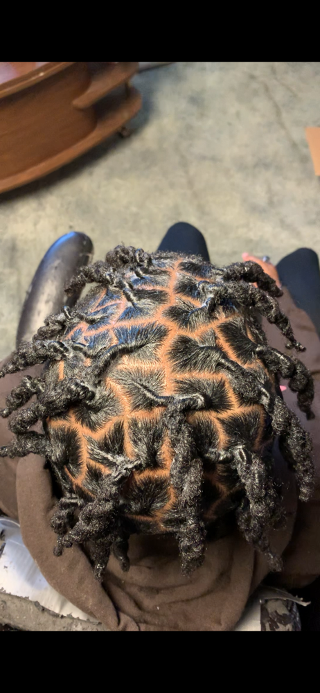 FreeForm Reincarnation
