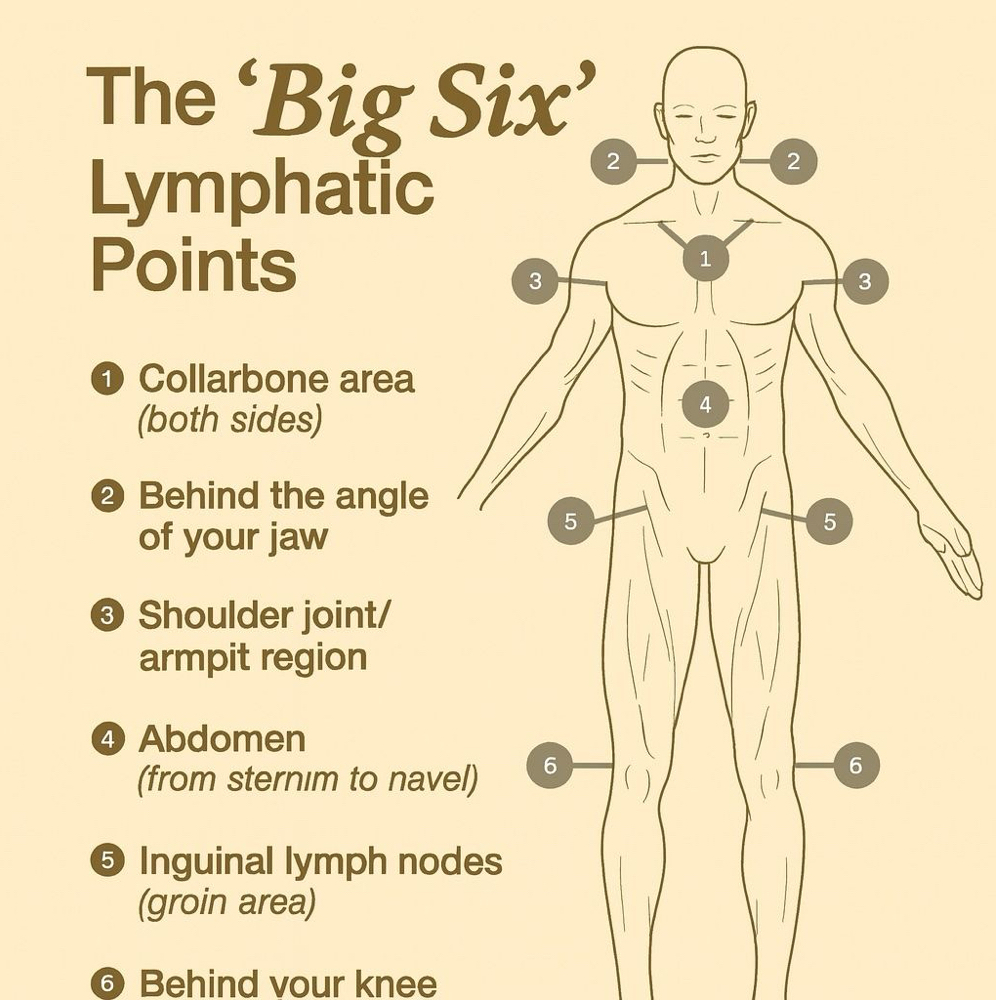 Lymphatic Drainage Full Body
