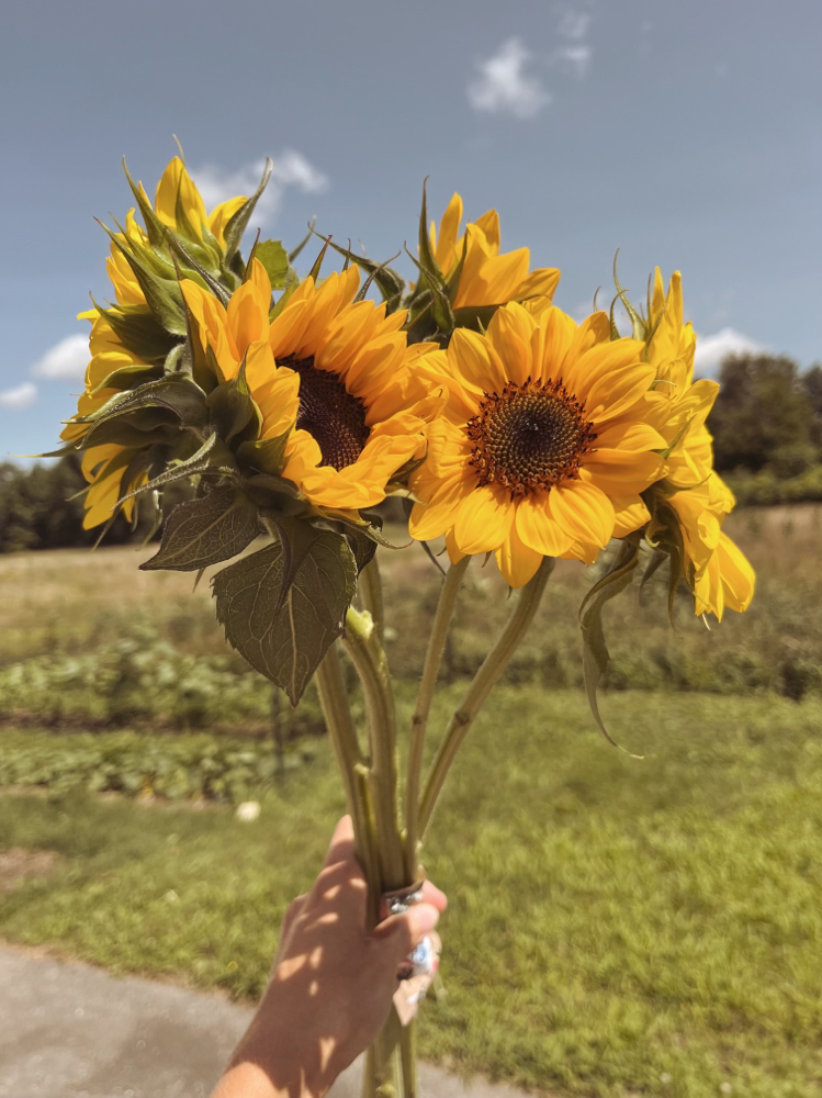 Full Highlight at Jordan Eliza in Benton, ME