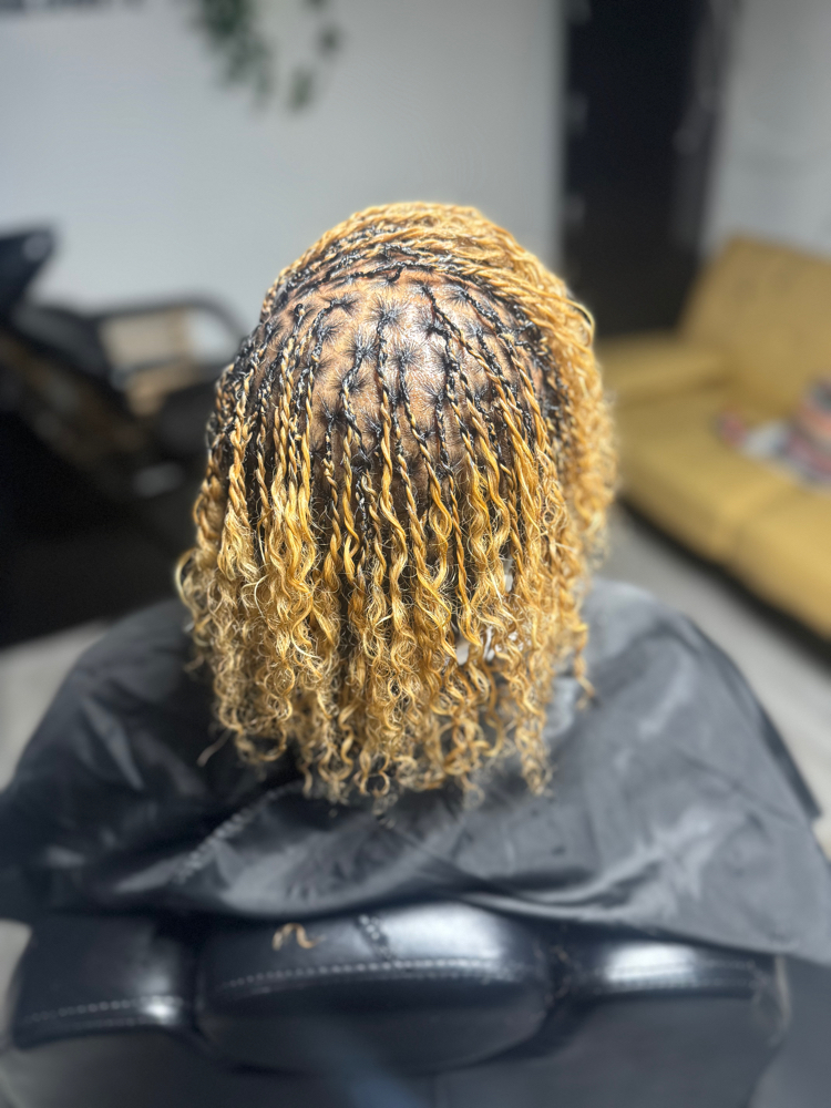 Starter Micro Locs