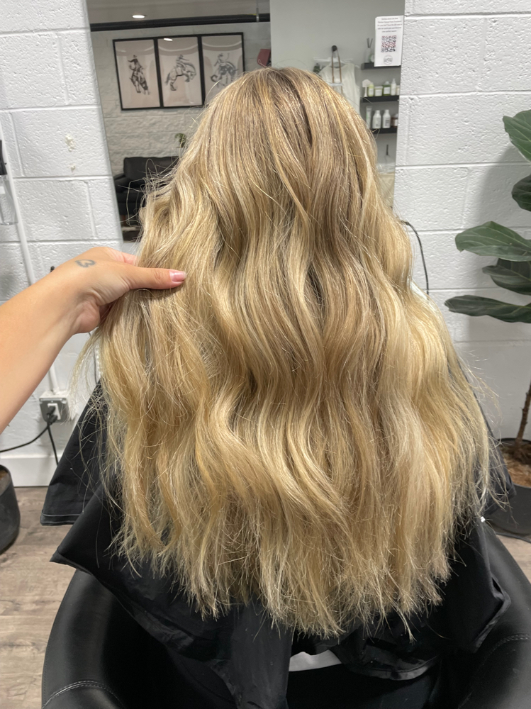 Full Highlight