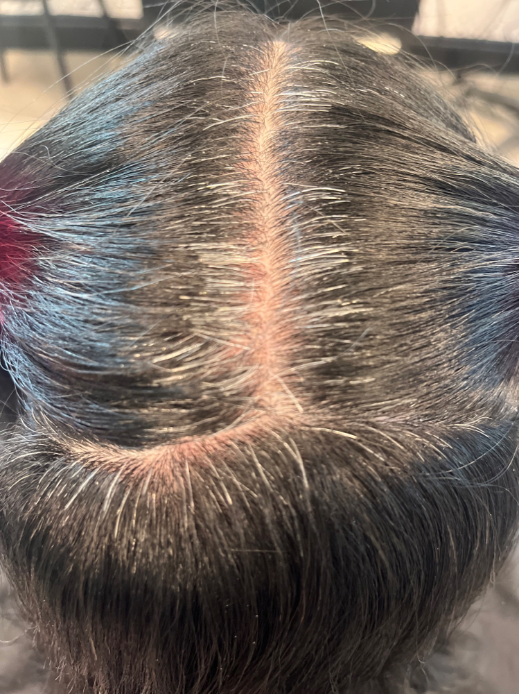 Root Shade + Cut & Style