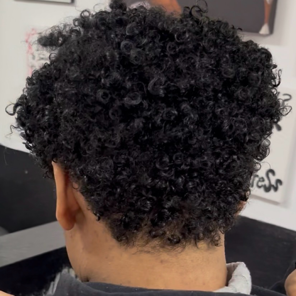 PRECISION CUT at Jenn The Genie in Woodland Hills, CA