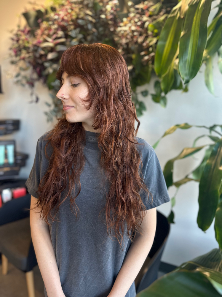 All Over Color & Haircut