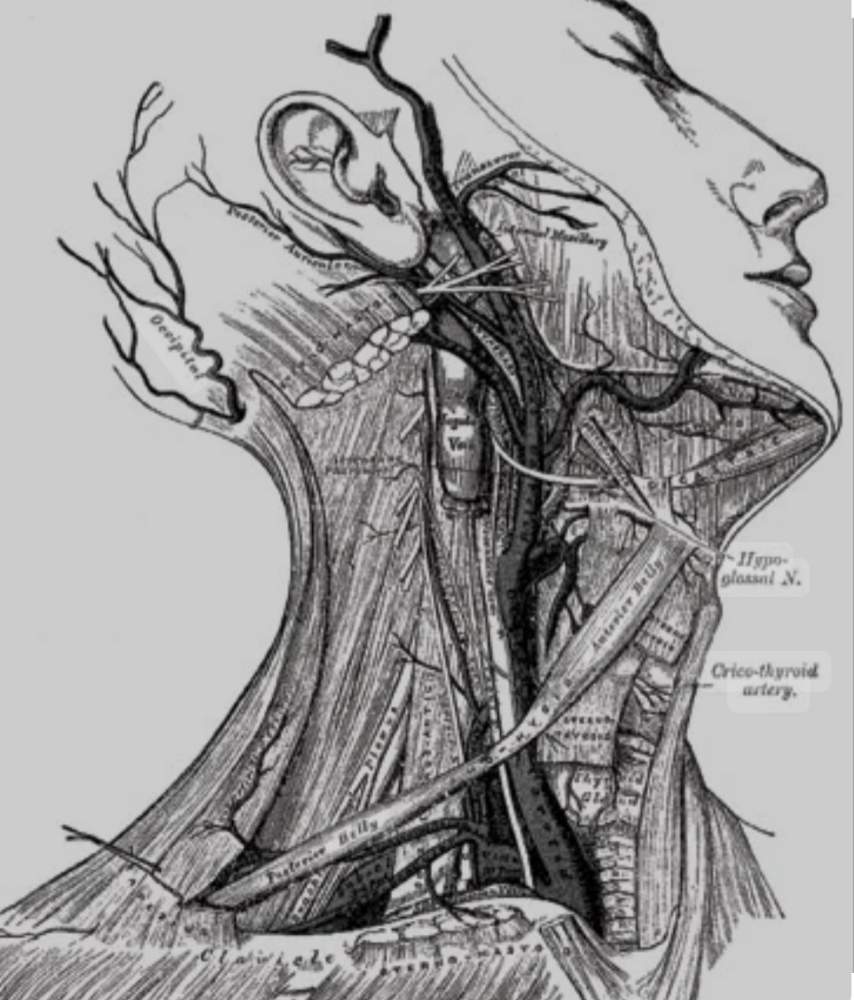 Somatic Bodyworks