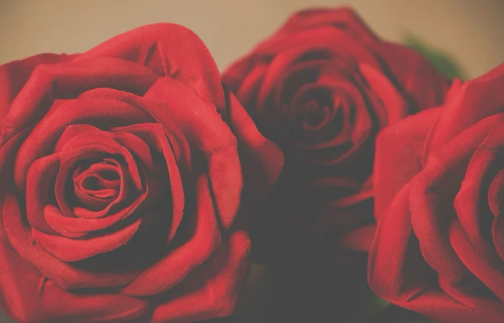 Customized Root Tap | Blend at Beauty By Lee in Matthews, NC