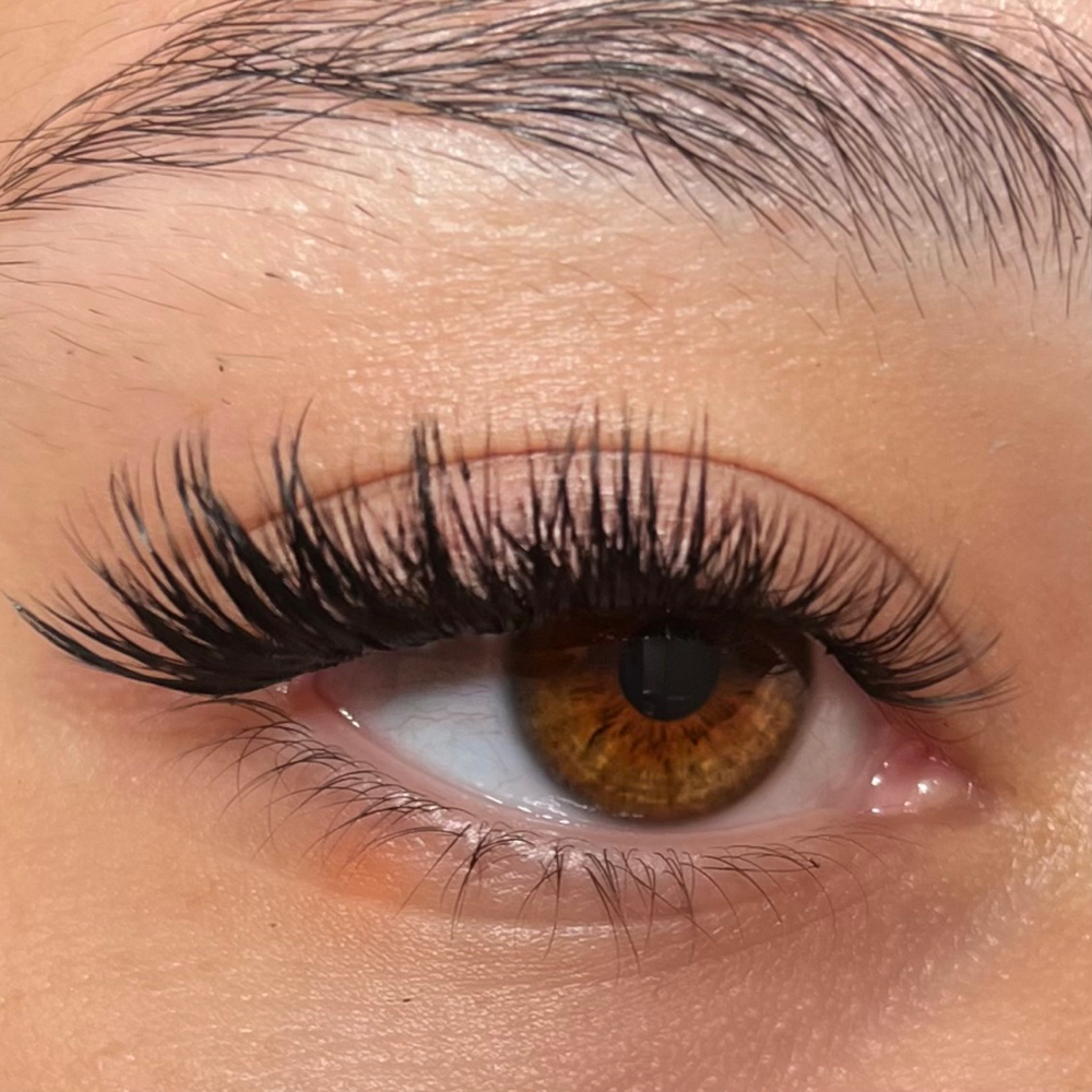 Lash Clusters (Natural/Medium)