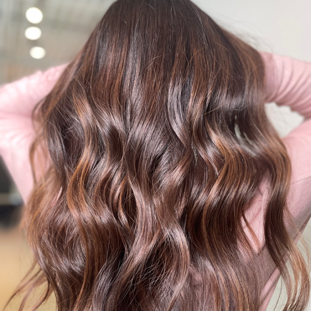 Toner/Gloss + Haircut at Salty Wave in Salt Lake City, UT