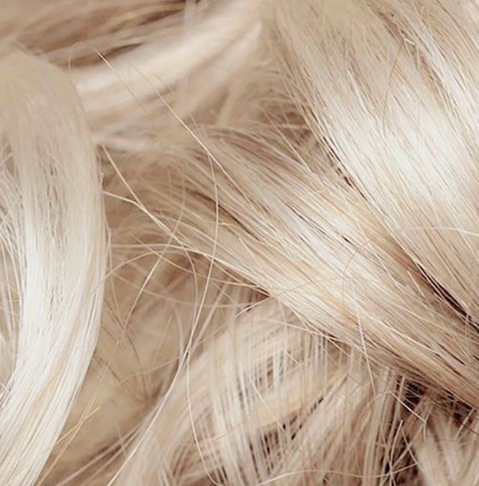 Full Highlight at Hair By Hannah Herman in Pittsford, NY