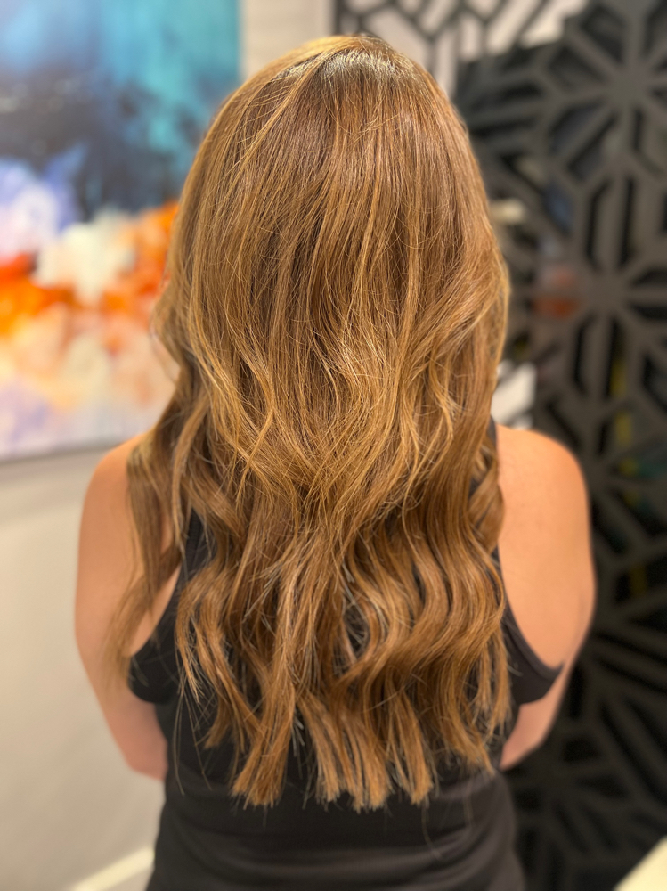 Extensions Consult + Purchase Hair