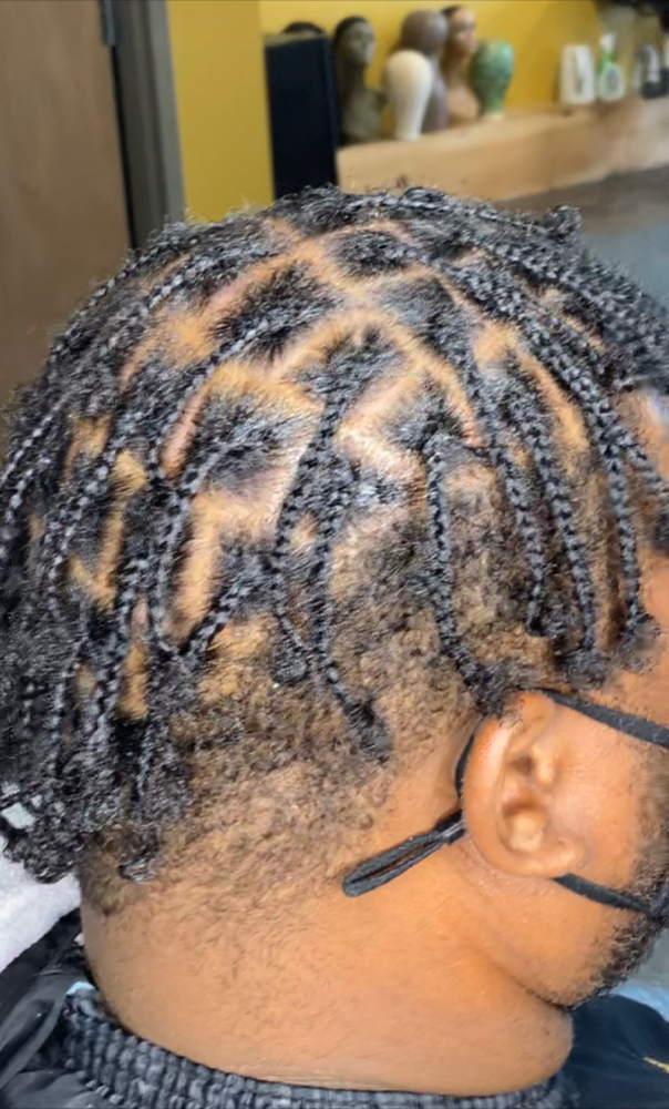 Plaits (1/2 Head)