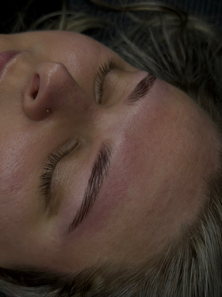 Eyebrow Trio - lamination, tint & wax