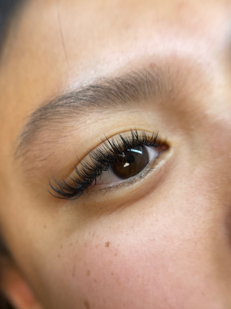 Dainty - Hybrid Full Set