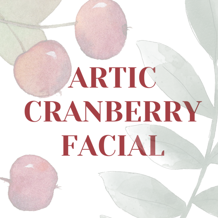 Seasonal Facial at Natural Elements Beauty & Wellness in Onalaska, WI