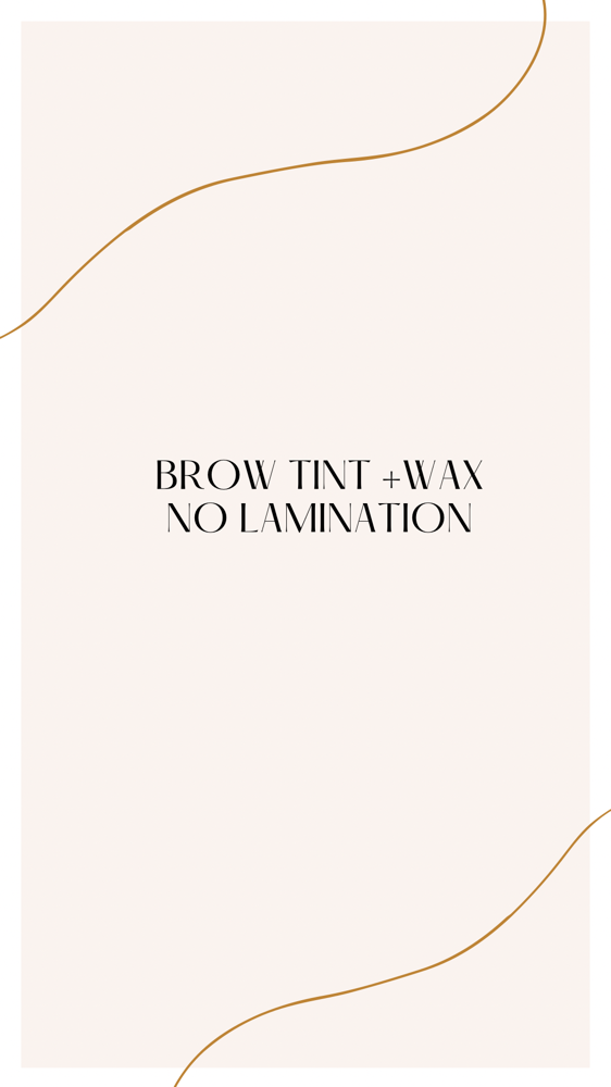 Brow Tint + Wax