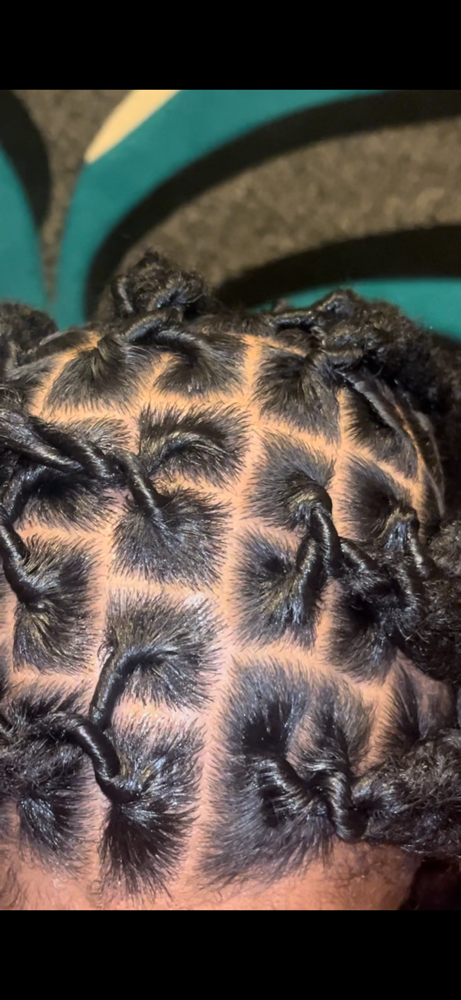 Loc Retwist ( Palm Roll & Locsmith)