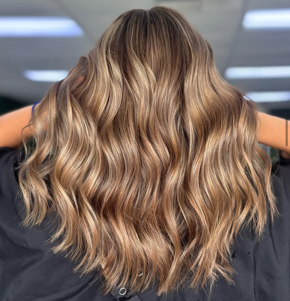 Shampoo/cut/style