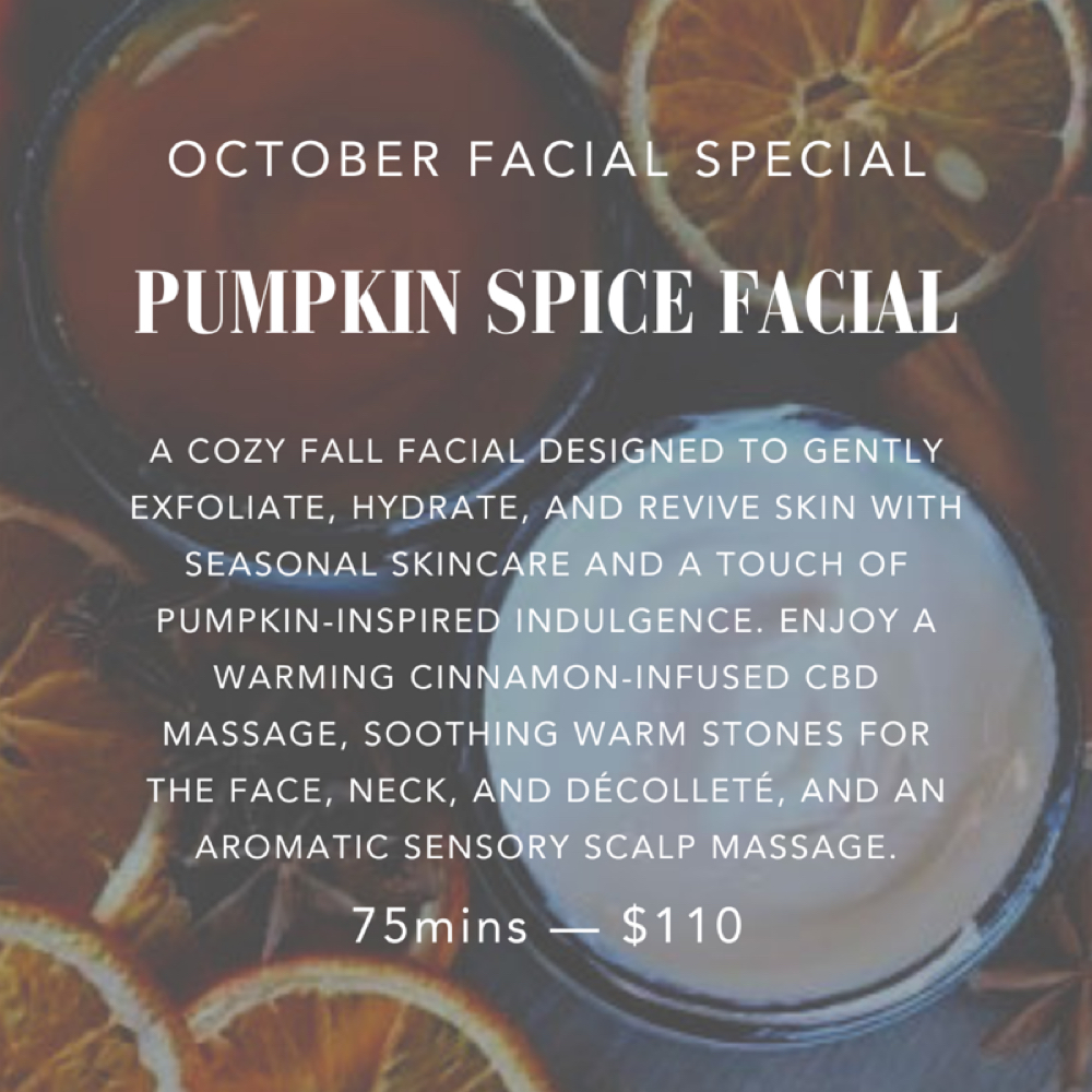 Pumpkin Spice Facial Special at Salt + Light Skincare in Atascocita, TX