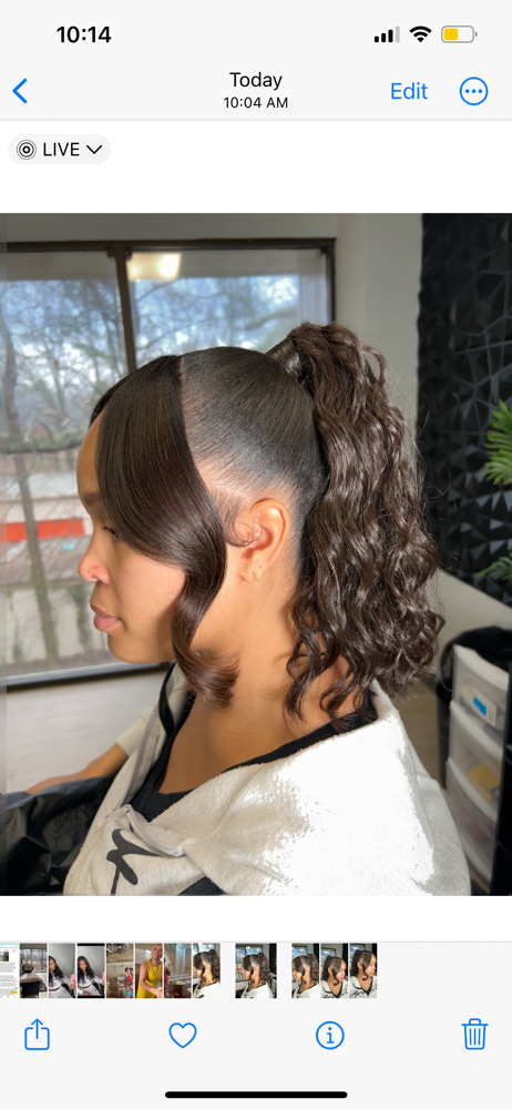 Ponytail