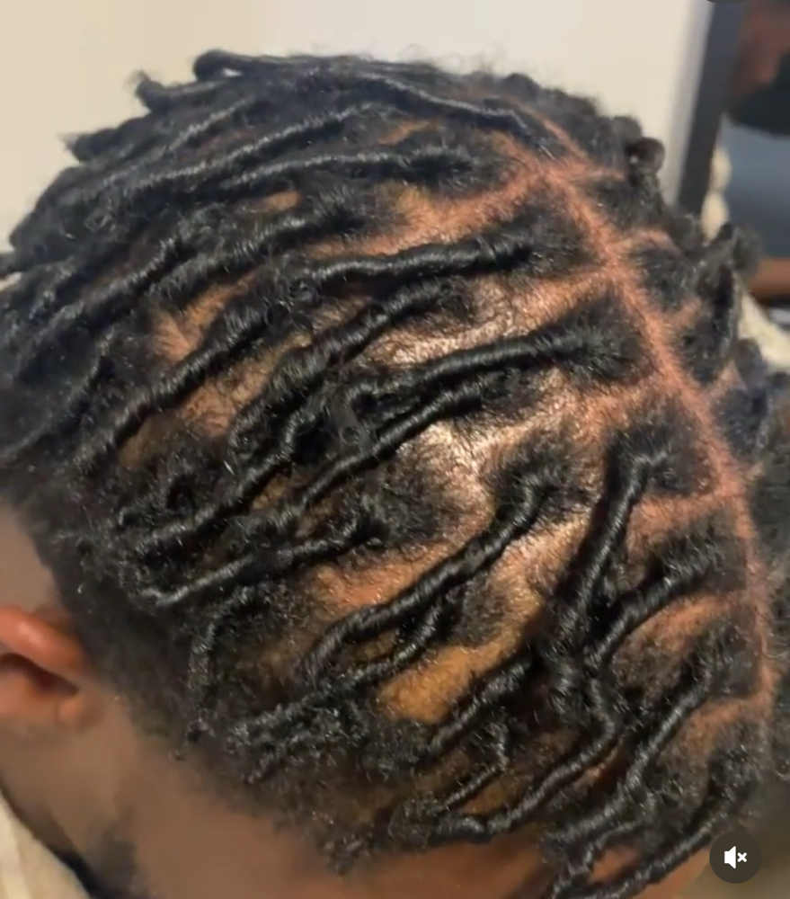 Starter Loc Session at Beauty Blvd in Columbus, OH