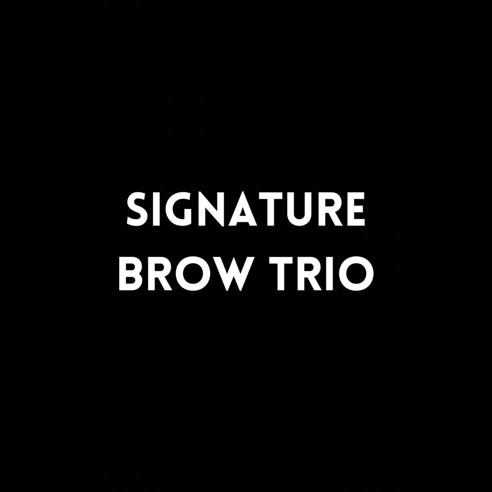 Signature Brow Trio at Manona Minks in Argyle, TX