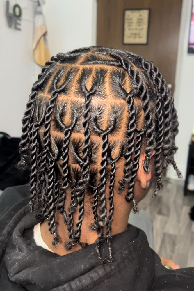 Two Strand Twist (No Locz)